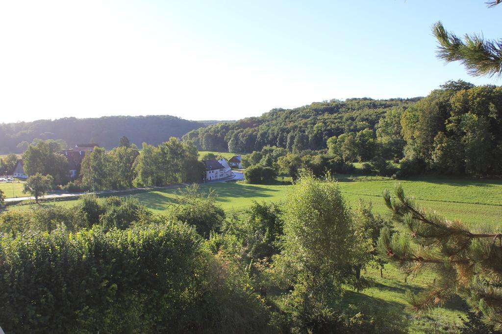 Hotel Haus Kallenberg Herbrechtingen Bilik gambar